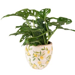 Clayre & Eef Bloempot  Ø 13x12 cm Geel Keramiek Citroen