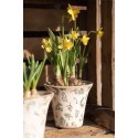 Clayre & Eef Planter Ø 17x16 cm Green Beige Ceramic Flowers