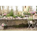 Clayre & Eef Blumentopf Ø 21x19 cm Rosa Beige Keramik Blumen