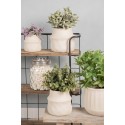 Clayre & Eef Bloempot  Ø 15x13 cm Beige Keramiek