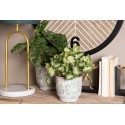 Clayre & Eef Fioriera Ø 21x20 cm Verde Beige Ceramica Fiori