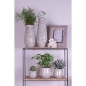 Clayre & Eef Bloempot  Ø 14x13 cm Groen Beige Keramiek Bladeren