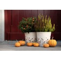 Clayre & Eef Blumentopf Ø 21x20 cm Beige Schwarz Keramik Blumen