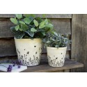 Clayre & Eef Blumentopf Ø 21x20 cm Beige Schwarz Keramik Blumen