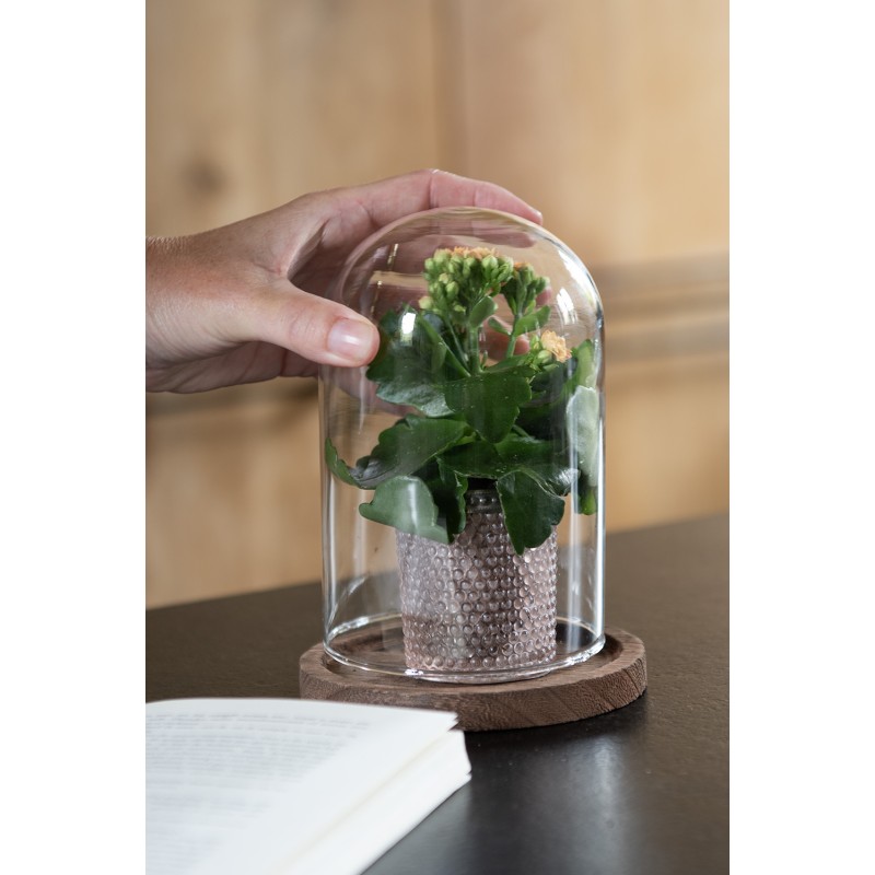 Clayre & Eef Stolp  Ø 12x16 cm Transparant Glas Hout
