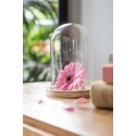 Clayre & Eef Cloche Ø 12x17 cm Verre Bois Rond