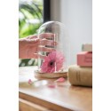 Clayre & Eef Cloche Ø 12x17 cm Verre Bois Rond