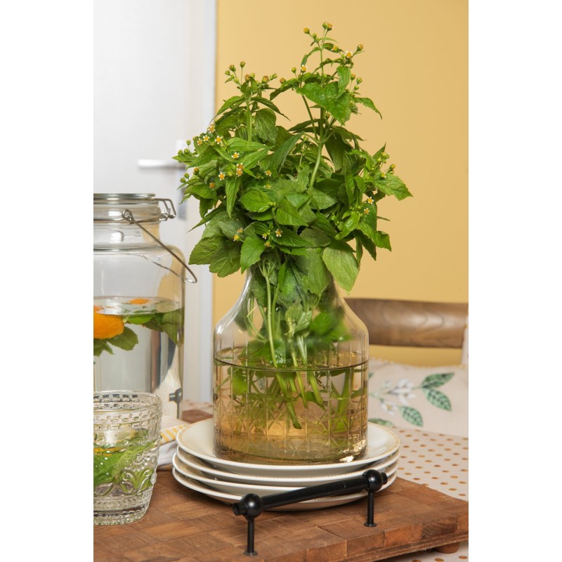 Clayre & Eef Vase Ø 14x20 cm Glas Rund