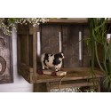Clayre & Eef Beeld Koe 14x7x12 cm Wit Zwart Kunststof