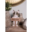 Clayre & Eef Figurine Cat 12x9x19 cm Brown Polyresin Welcome