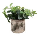 Clayre & Eef Bloempot Ø 14x12 cm Beige Groen Terracotta