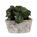 Clayre & Eef Fioriera 26x13x12 cm Beige Blu  Terracotta