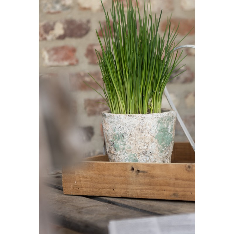 Clayre & Eef Planter Ø 11x11 cm Beige Green Terracotta