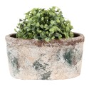 Clayre & Eef Blumentopf 20x11x10 cm Beige Grün Terrakotta
