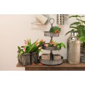 Clayre & Eef Blechdose-Aufbewahrungsbox Ø 14x26 cm Grau Holz Metall Rund