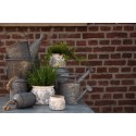 Clayre & Eef Decorative Bucket Set of 2 Grey Metal