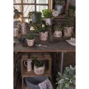 Clayre & Eef Decorative Bucket Set of 3 Ø 26x28 cm Grey Brown Iron