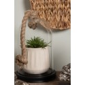 Clayre & Eef Cloche Ø 17x28 cm Transparent Wood Glass Round
