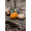 Clayre & Eef Decorazione Zucca Ø 15x12 cm Marrone Tessuto