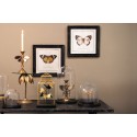 Clayre & Eef Stolp  Ø 23x22 cm Bruin Glas Rond