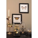 Clayre & Eef Stolp  Ø 23x22 cm Bruin Glas Rond