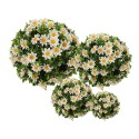 Clayre & Eef Buchsbaumkugel Ø 12 cm Weiß Grün Kunststoff Rund