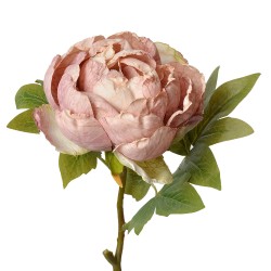 Clayre & Eef Fiore artificiale Rosa 48 cm Rosa Plastica Nessuna forma