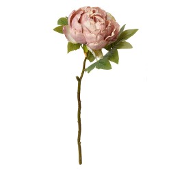 Clayre & Eef Fiore artificiale Rosa 48 cm Rosa Plastica Nessuna forma