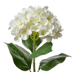 Clayre & Eef Fiore artificiale Ortensia 68 cm Beige Plastica Nessuna forma