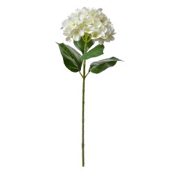 Clayre & Eef Fiore artificiale Ortensia 68 cm Beige Plastica Nessuna forma