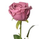 Clayre & Eef Fiore artificiale Rosa 61 cm Rosa Plastica