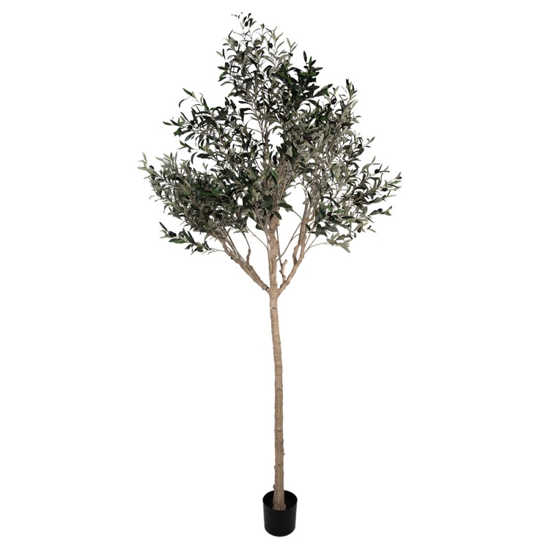 Clayre & Eef Ulivo artificiale 240 cm Verde Plastica