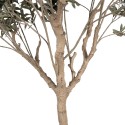 Clayre & Eef Ulivo artificiale 240 cm Verde Plastica