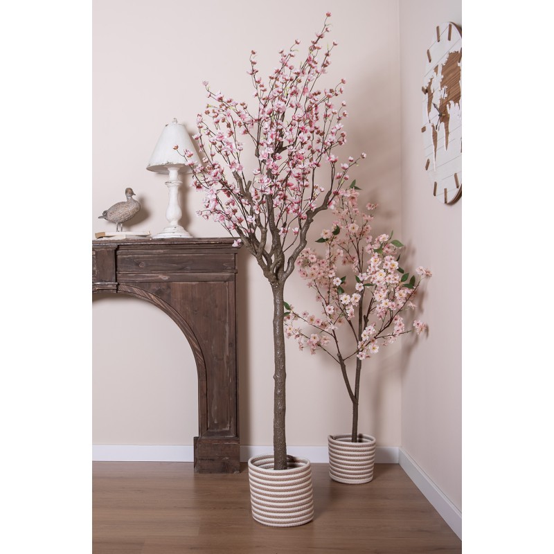 Clayre & Eef Cesto per riporre set di 3 Ø 26 Ø 26 Ø 19 cm Beige Marrone  Zostera Rotondo