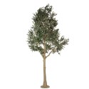 Clayre & Eef Olivier artificiel 320 cm Vert Plastique