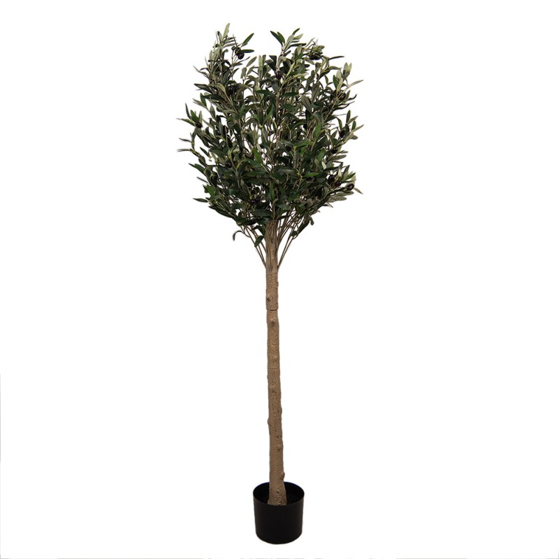 Clayre & Eef Künstlicher Olivenbaum 165 cm Grün Kunststoff