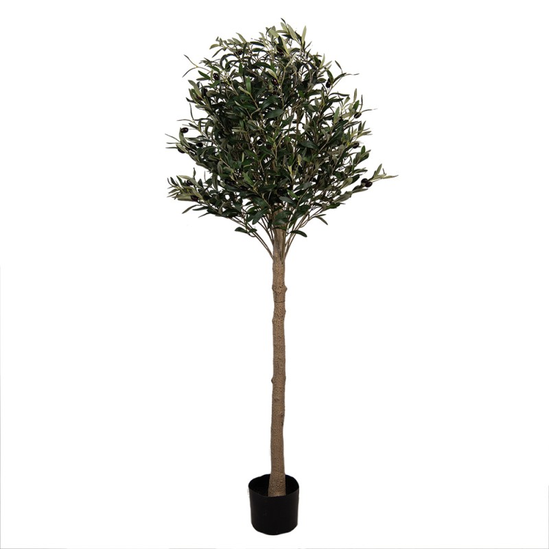 Clayre & Eef Künstlicher Olivenbaum 165 cm Grün Kunststoff