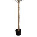 Clayre & Eef Künstlicher Olivenbaum 165 cm Grün Kunststoff