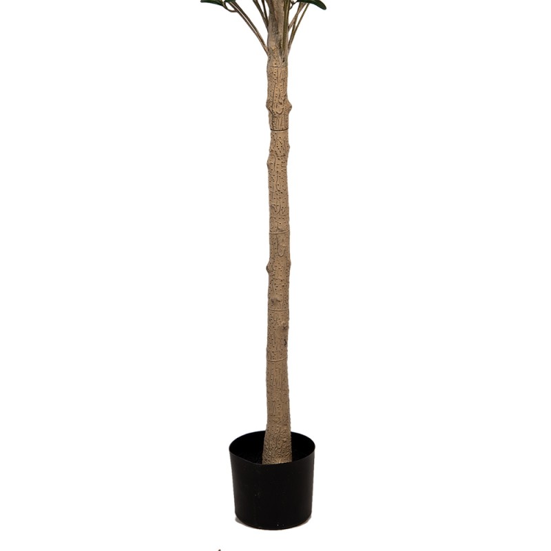Clayre & Eef Künstlicher Olivenbaum 165 cm Grün Kunststoff