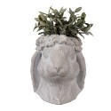 Clayre & Eef Fioriera Coniglio 21x20x22 cm Beige Pietra