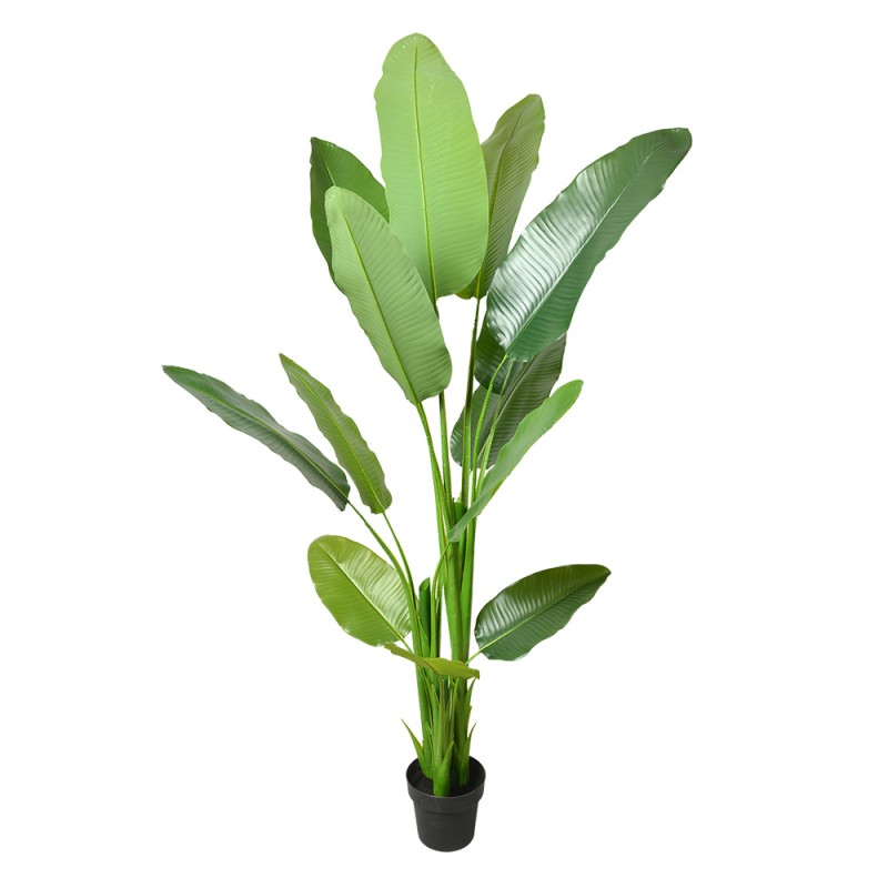 Clayre & Eef Kunstpflanze 180 cm Grün Kunststoff Clayre & Eef Kunstpflanze 180 cm Grün Kunststoff