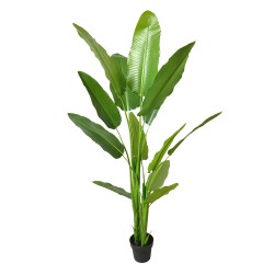 Clayre & Eef Kunstpflanze 180 cm Grün Kunststoff