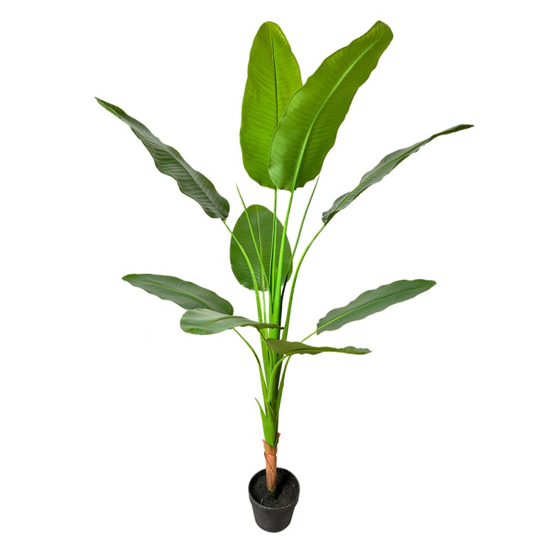 Clayre & Eef Piante artificiale 160 cm Verde Plastica Clayre & Eef Piante artificiale 160 cm Verde Plastica