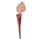Clayre & Eef Fleur artificielle 75 cm Violet Plastique