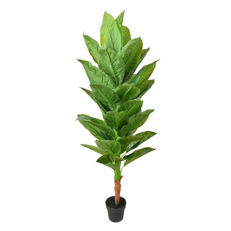 Clayre & Eef Plante artificielle 180 cm Vert Plastique Clayre & Eef Plante artificielle 180 cm Vert Plastique