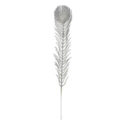 Clayre & Eef Dekoration Feder 7x42 cm Silberfarbig Kunststoff