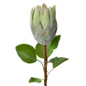 Clayre & Eef Fiore artificiale 65 cm Verde Plastica