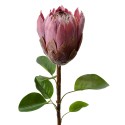 Clayre & Eef Artificial Flower 65 cm Purple Plastic