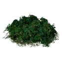 Clayre & Eef Décoration Mousse 40x30 cm Vert Plastique