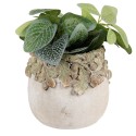 Clayre & Eef Pot de fleurs Ø 15x13 cm Beige Pierre